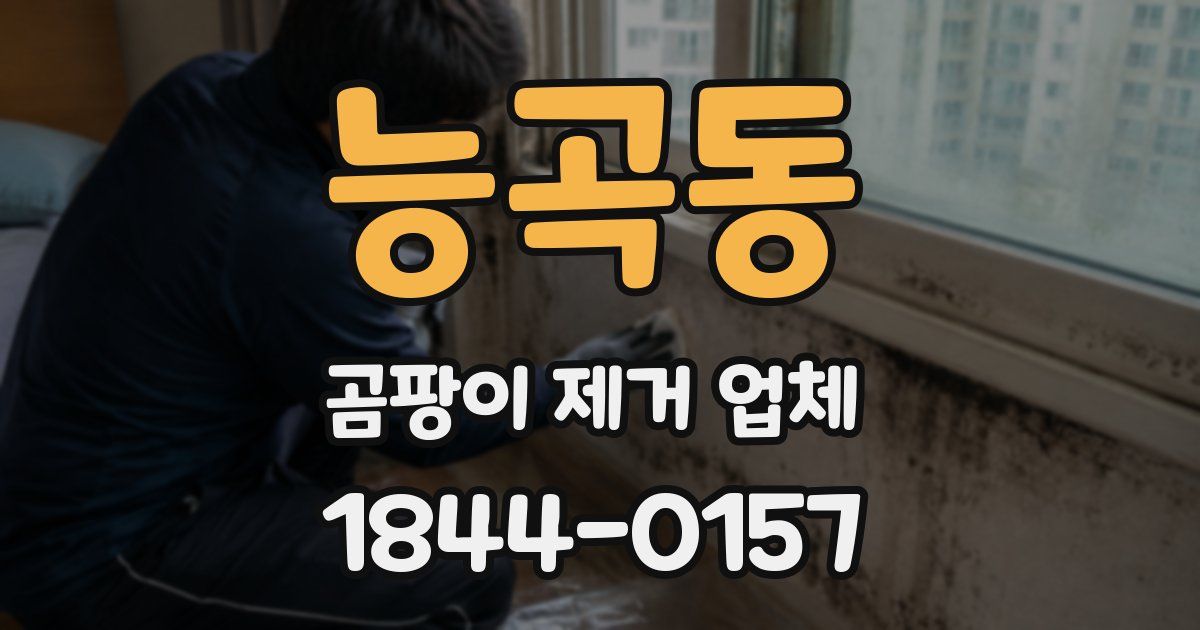능곡동 곰팡이 제거 업체