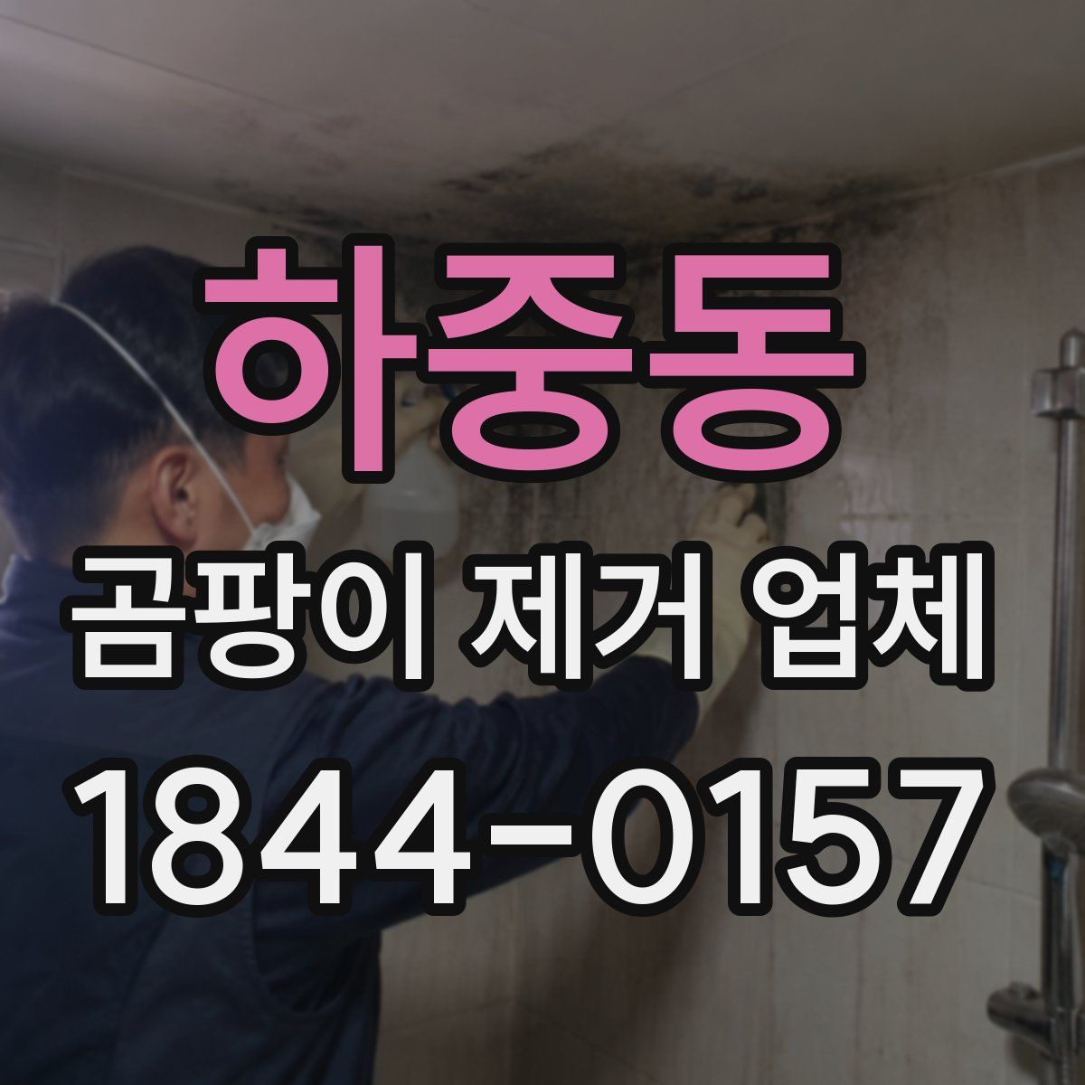 하중동 곰팡이 제거 업체