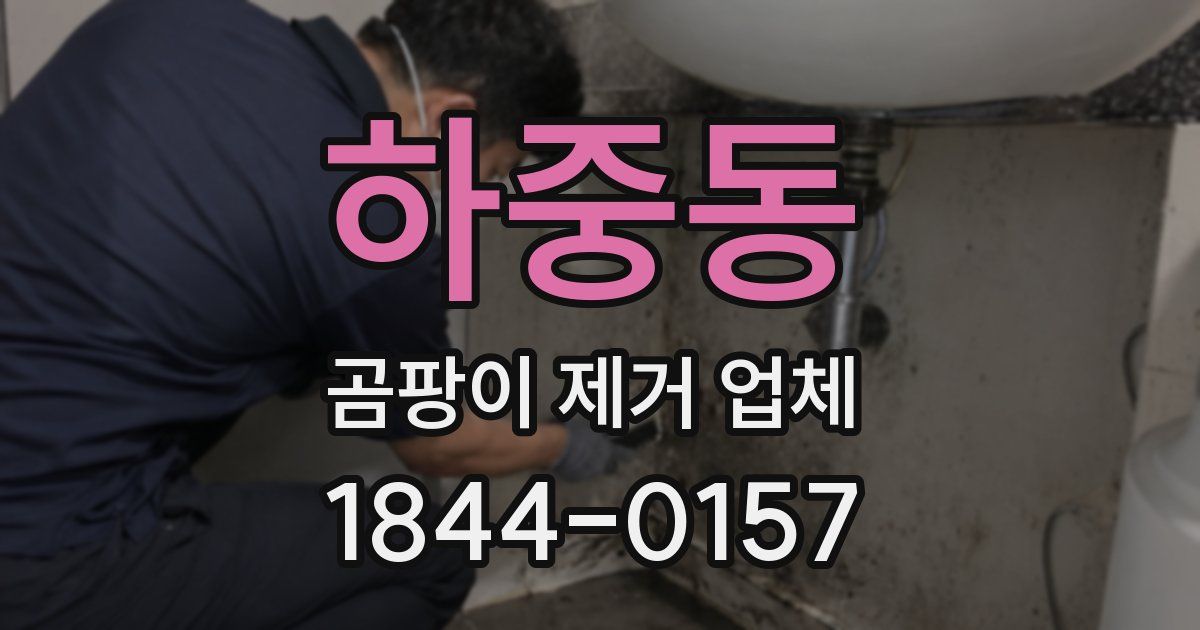하중동 곰팡이 제거 업체
