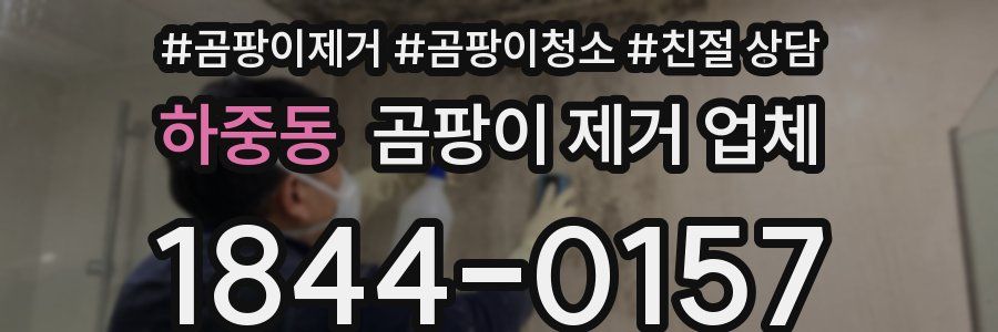 하중동 곰팡이 제거 업체