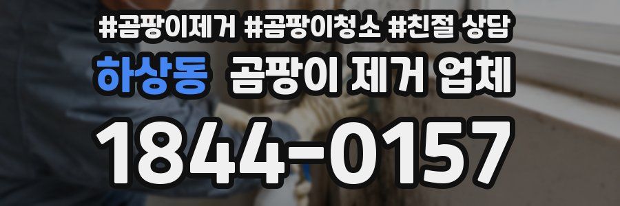 하상동 곰팡이 제거 업체