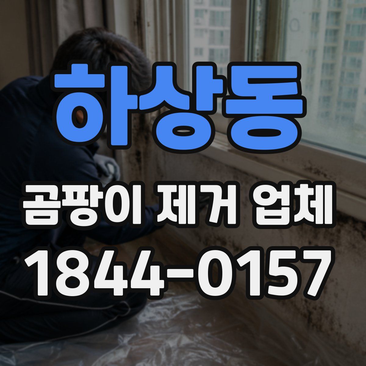 하상동 곰팡이 제거 업체