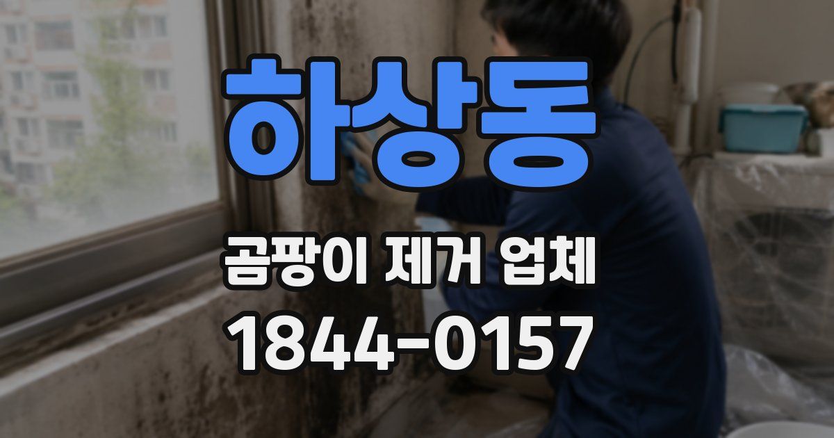 하상동 곰팡이 제거 업체