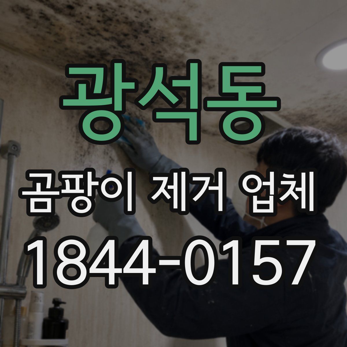 광석동 곰팡이 제거 업체