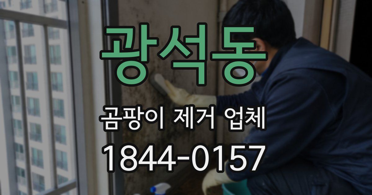 광석동 곰팡이 제거 업체