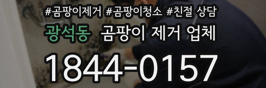 광석동 곰팡이 제거 업체