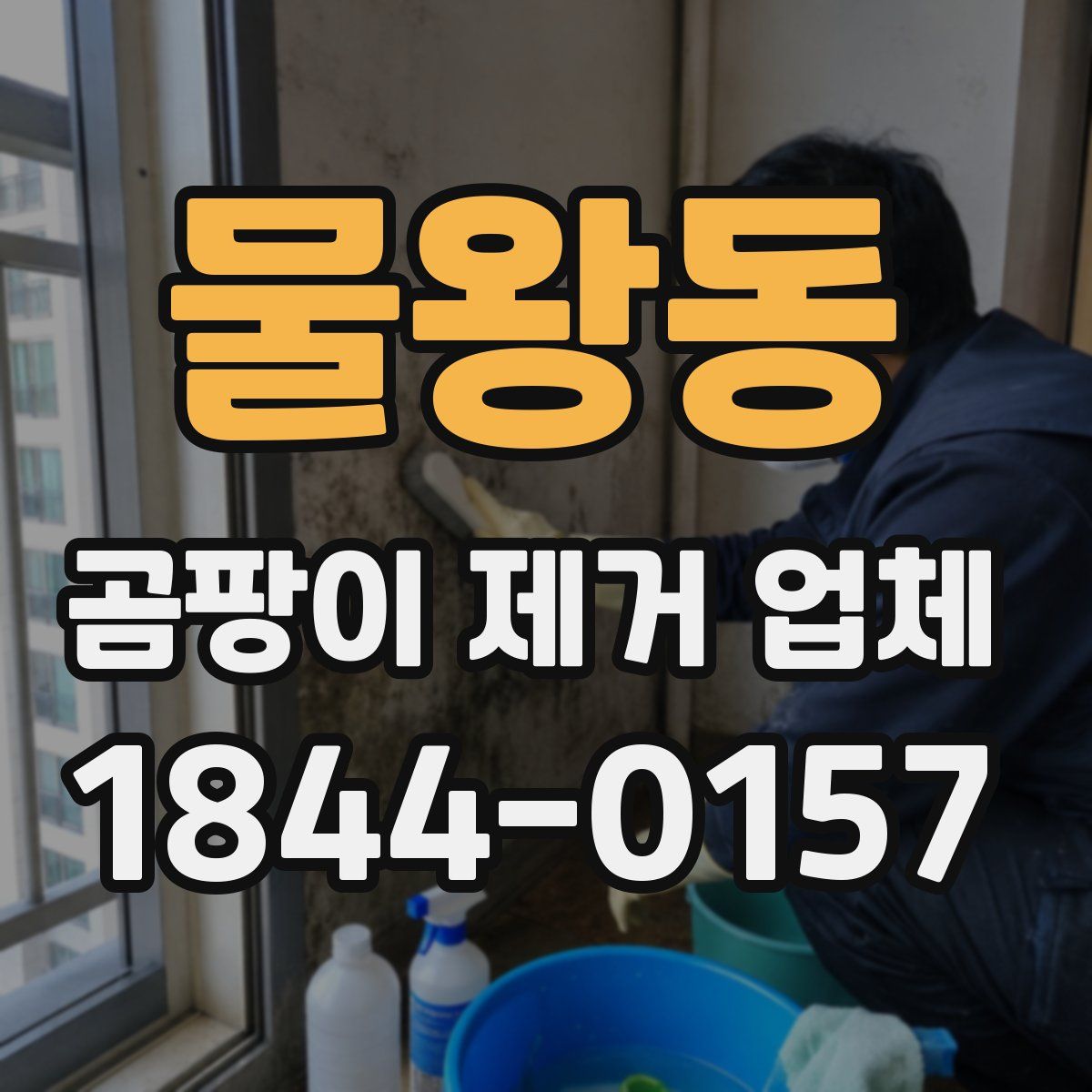 물왕동 곰팡이 제거 업체