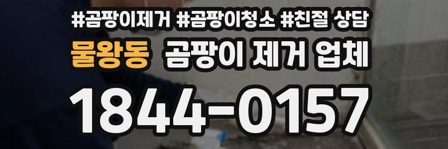 물왕동 곰팡이 제거 업체