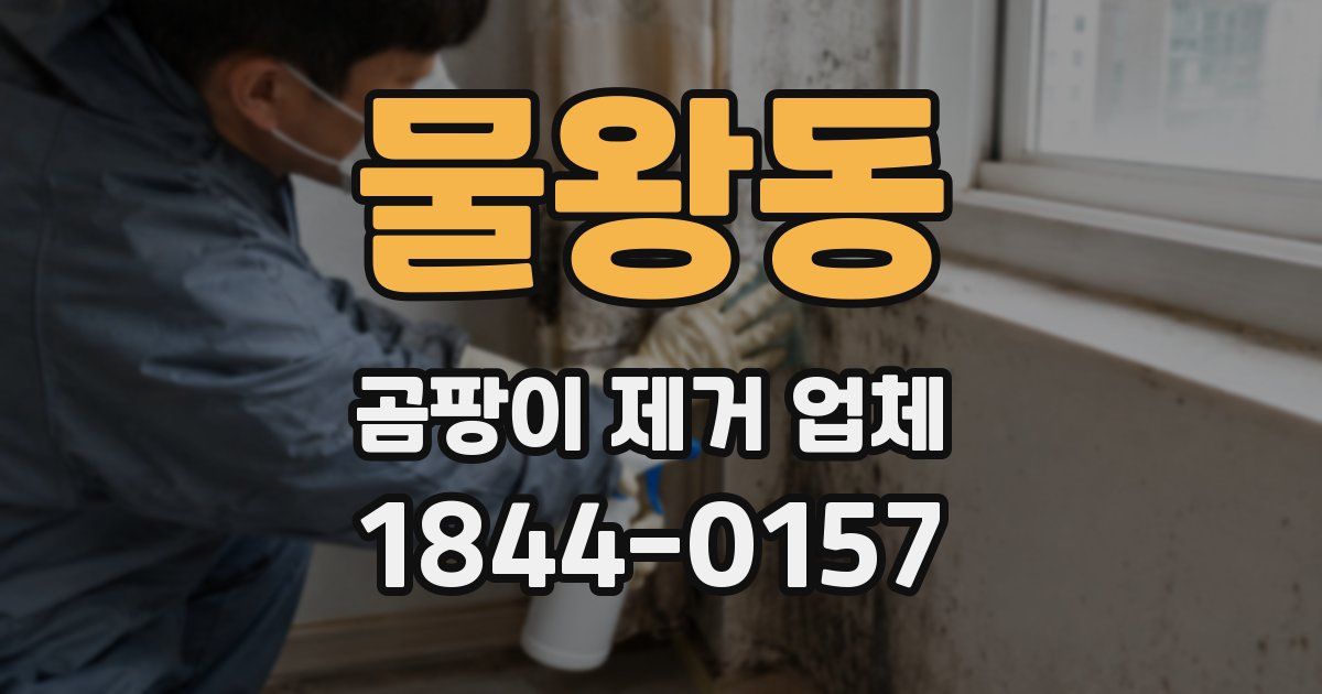 물왕동 곰팡이 제거 업체