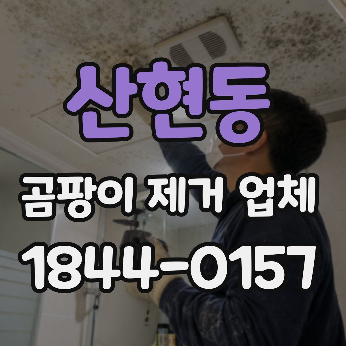 산현동 곰팡이 제거 업체
