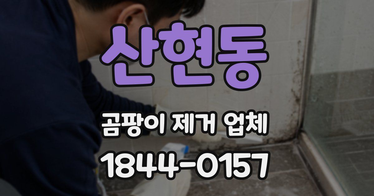 산현동 곰팡이 제거 업체