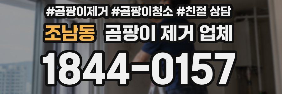 조남동 곰팡이 제거 업체