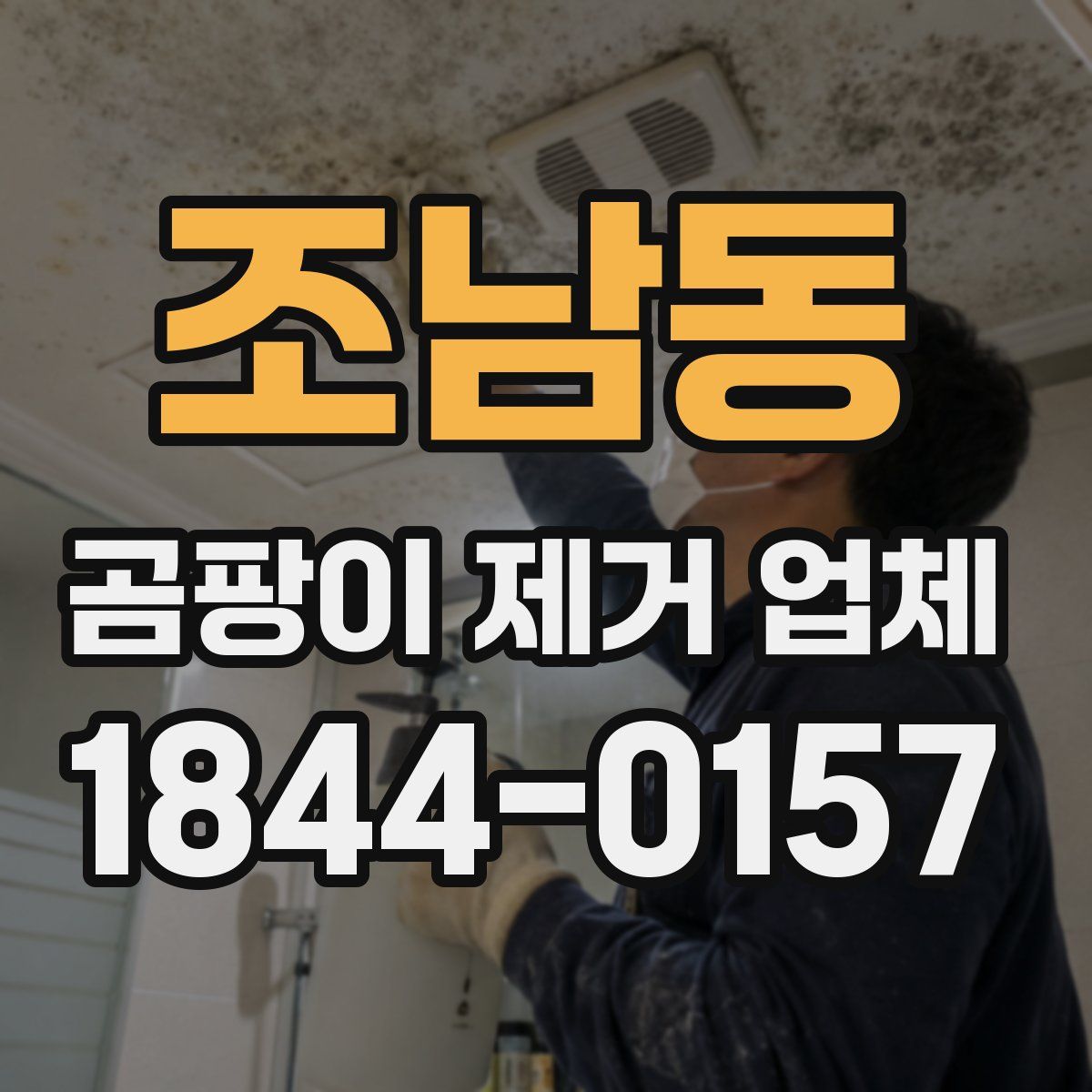 조남동 곰팡이 제거 업체