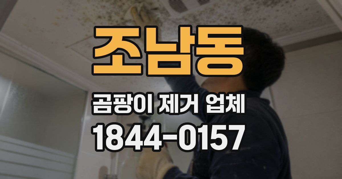 조남동 곰팡이 제거 업체