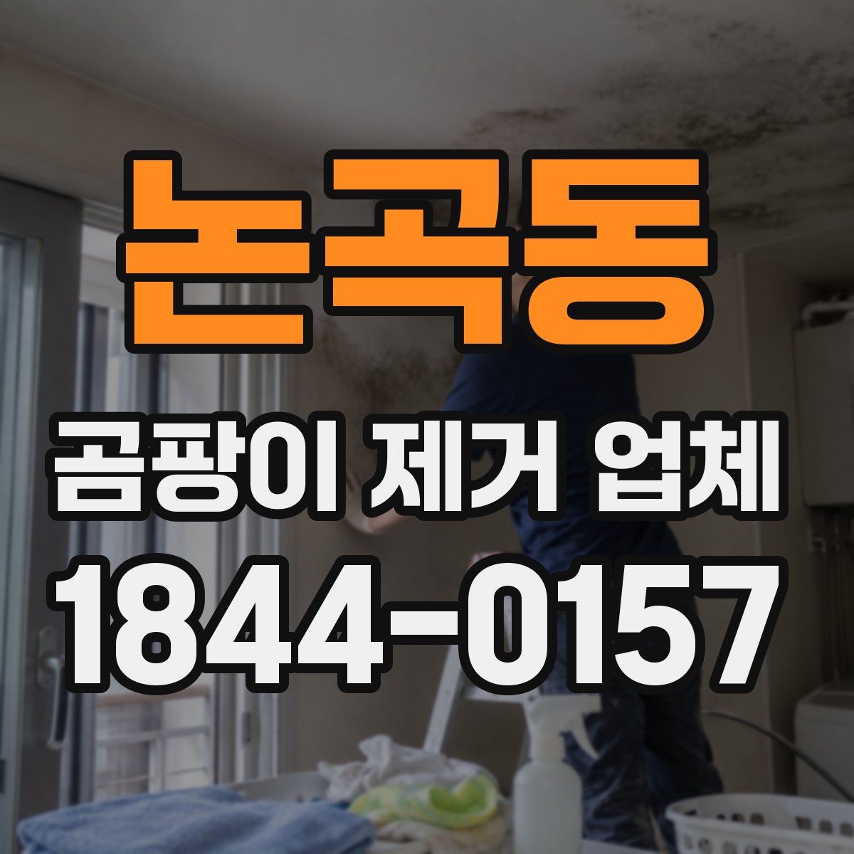 논곡동 곰팡이 제거 업체