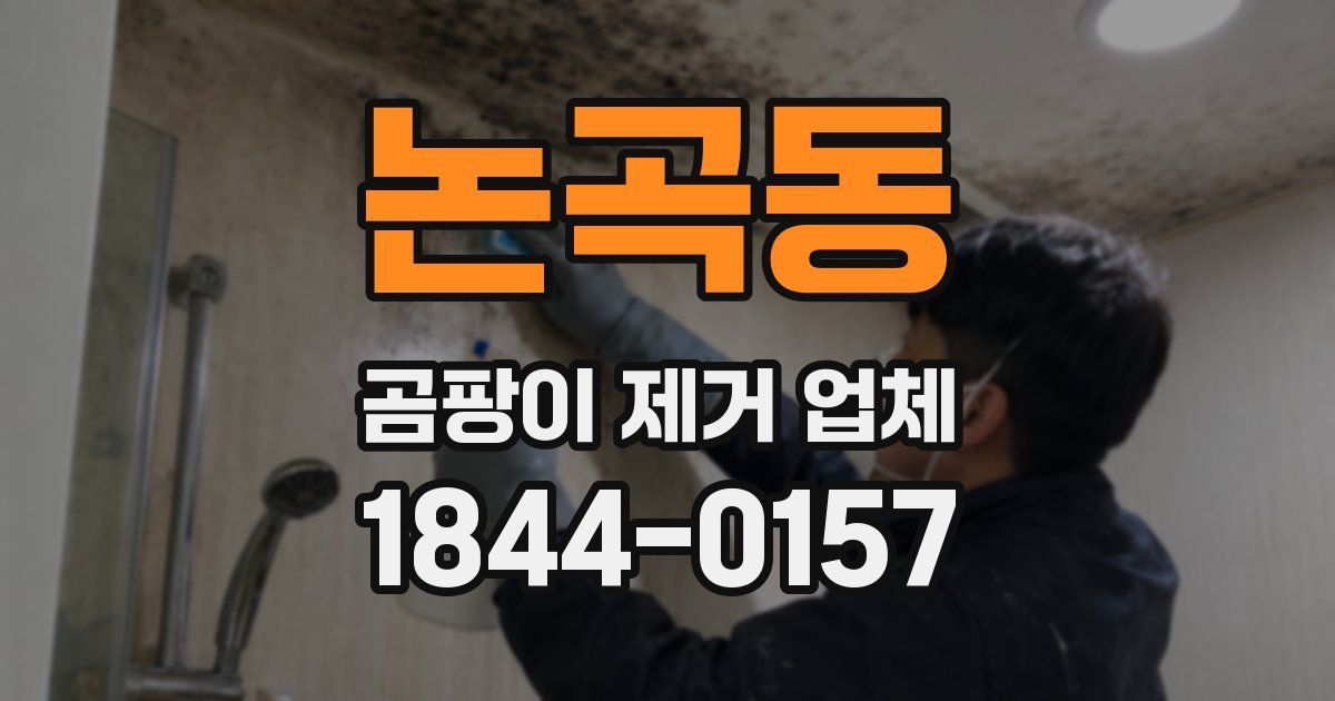 논곡동 곰팡이 제거 업체
