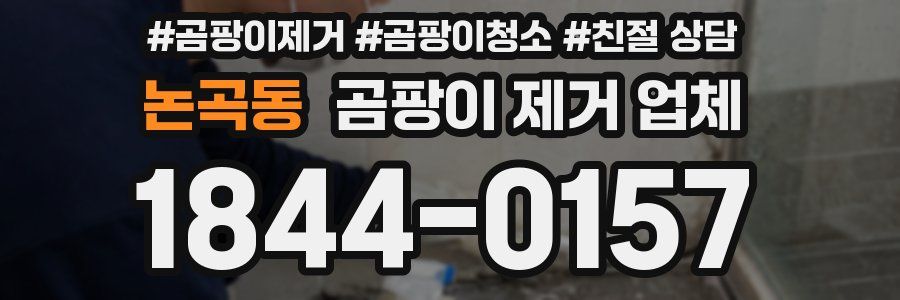 논곡동 곰팡이 제거 업체