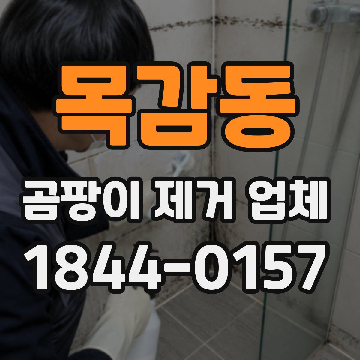 목감동 곰팡이 제거 업체