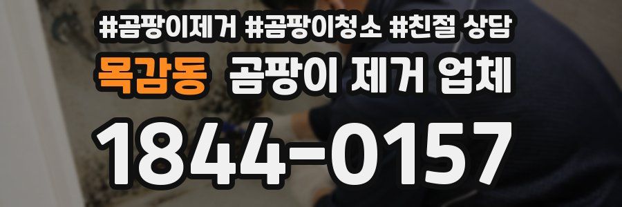 목감동 곰팡이 제거 업체
