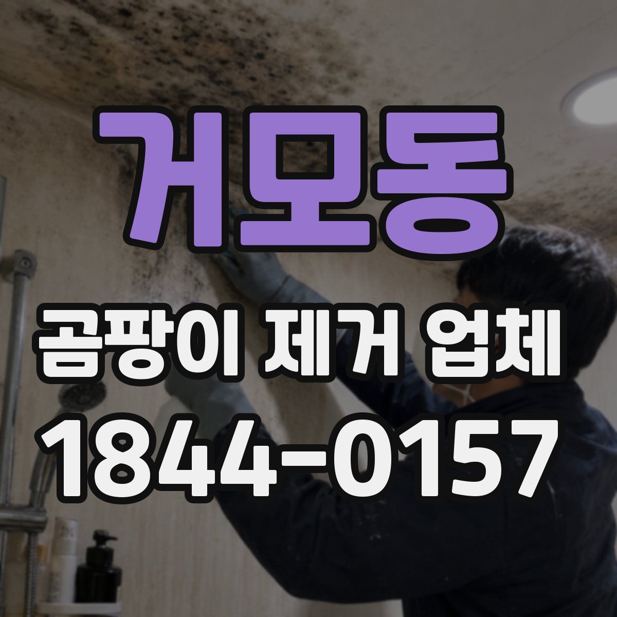 거모동 곰팡이 제거 업체