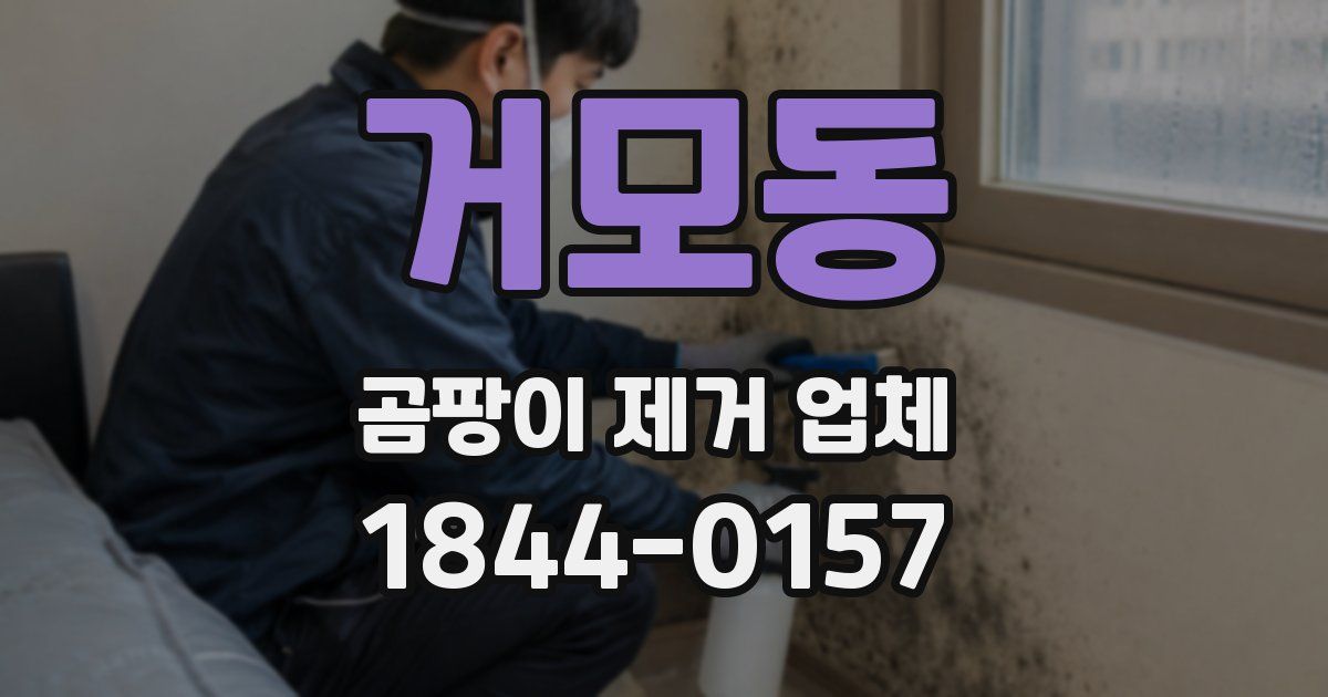 거모동 곰팡이 제거 업체