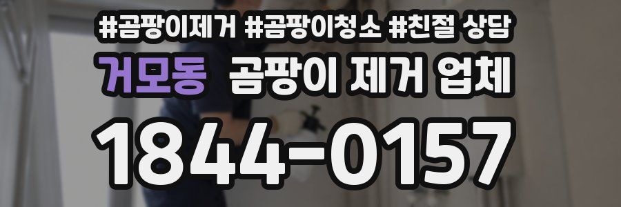 거모동 곰팡이 제거 업체