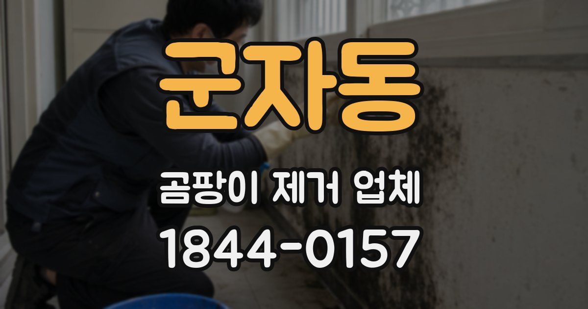 군자동 곰팡이 제거 업체