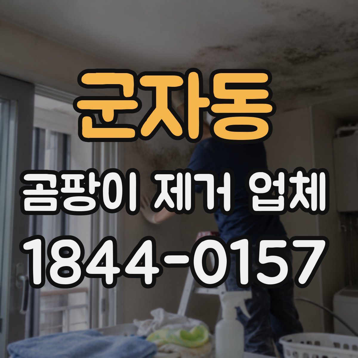 군자동 곰팡이 제거 업체