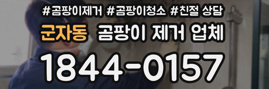 군자동 곰팡이 제거 업체