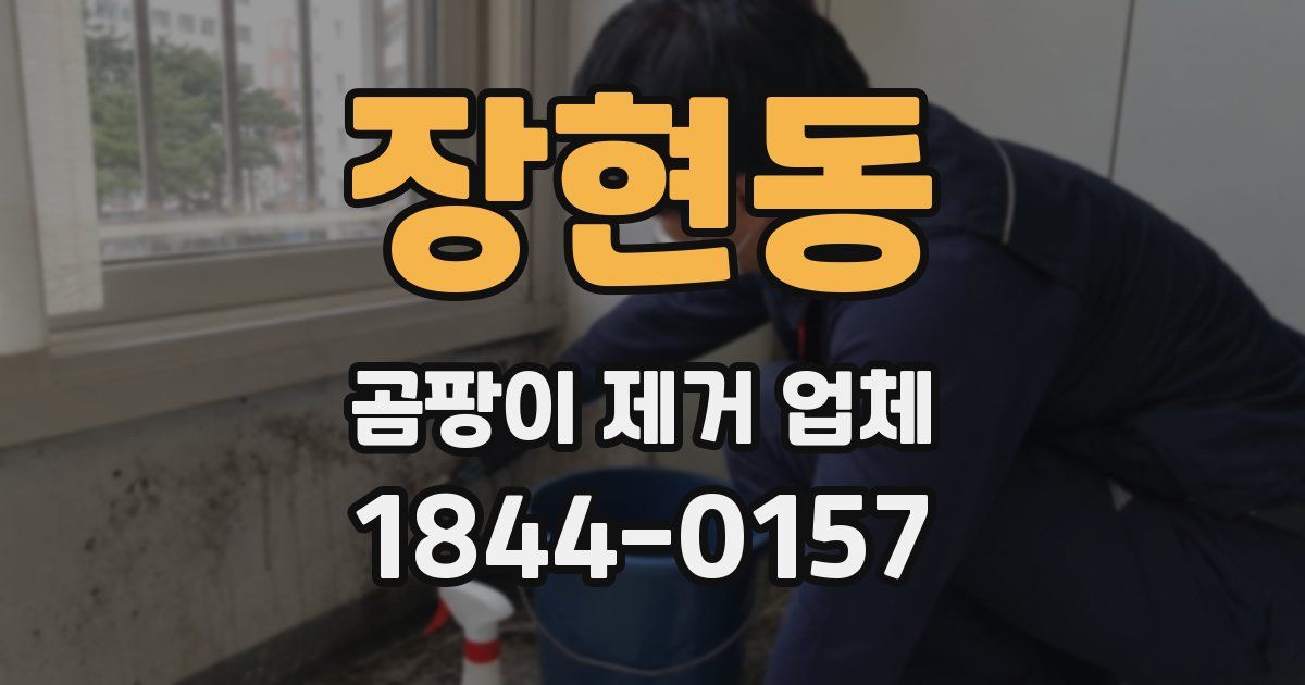 장현동 곰팡이 제거 업체