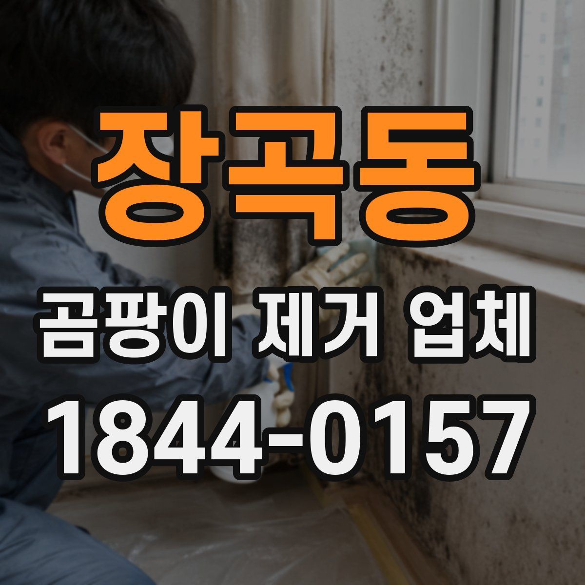 장곡동 곰팡이 제거 업체