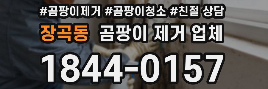 장곡동 곰팡이 제거 업체