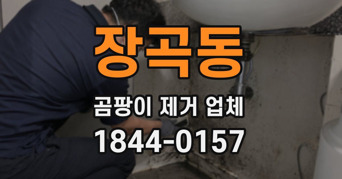 장곡동 곰팡이 제거 업체