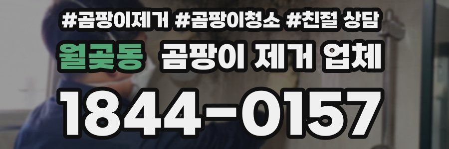 월곶동 곰팡이 제거 업체