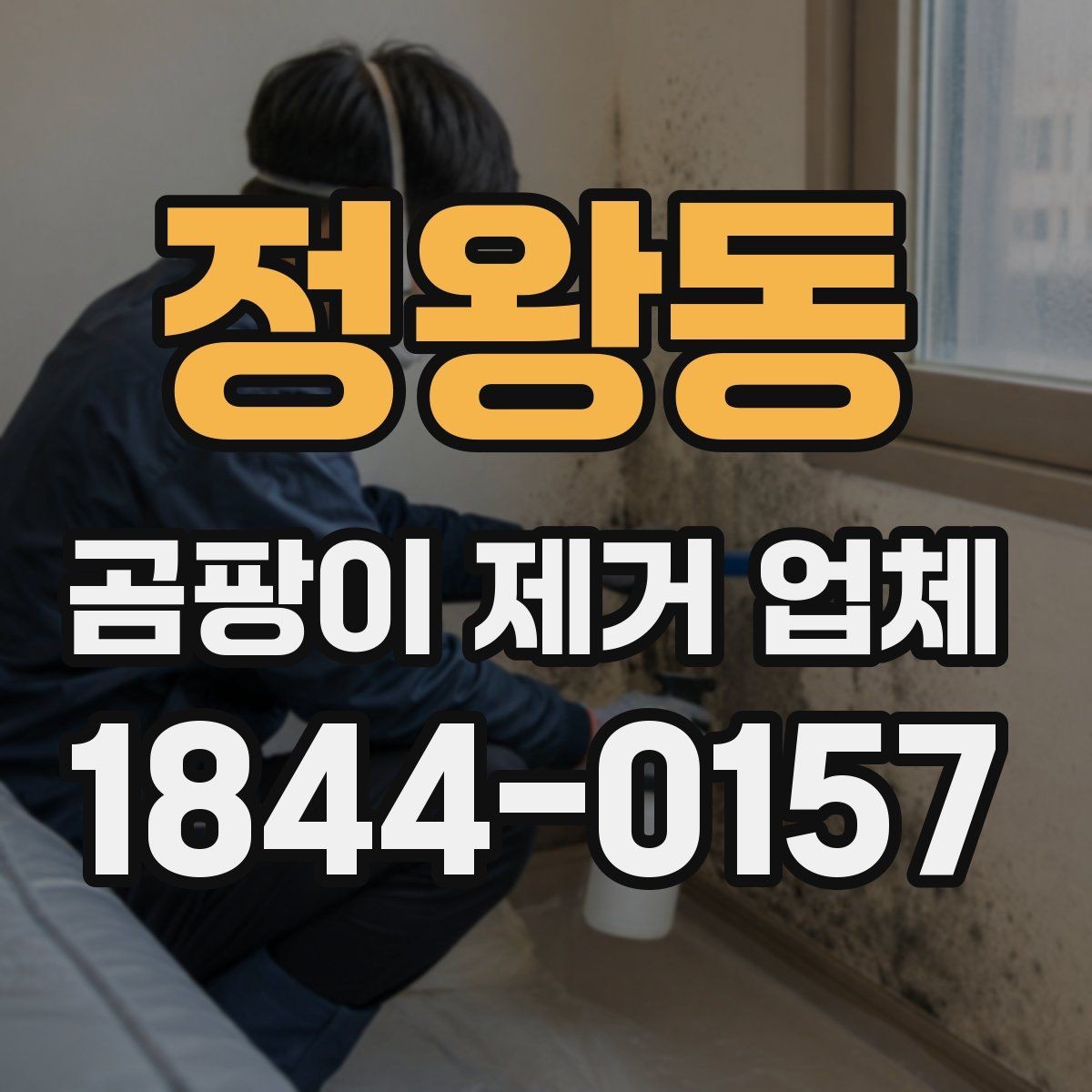 정왕동 곰팡이 제거 업체 후기 볼 때 체크해야 할 부분