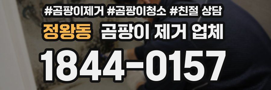 정왕동 곰팡이 제거 업체