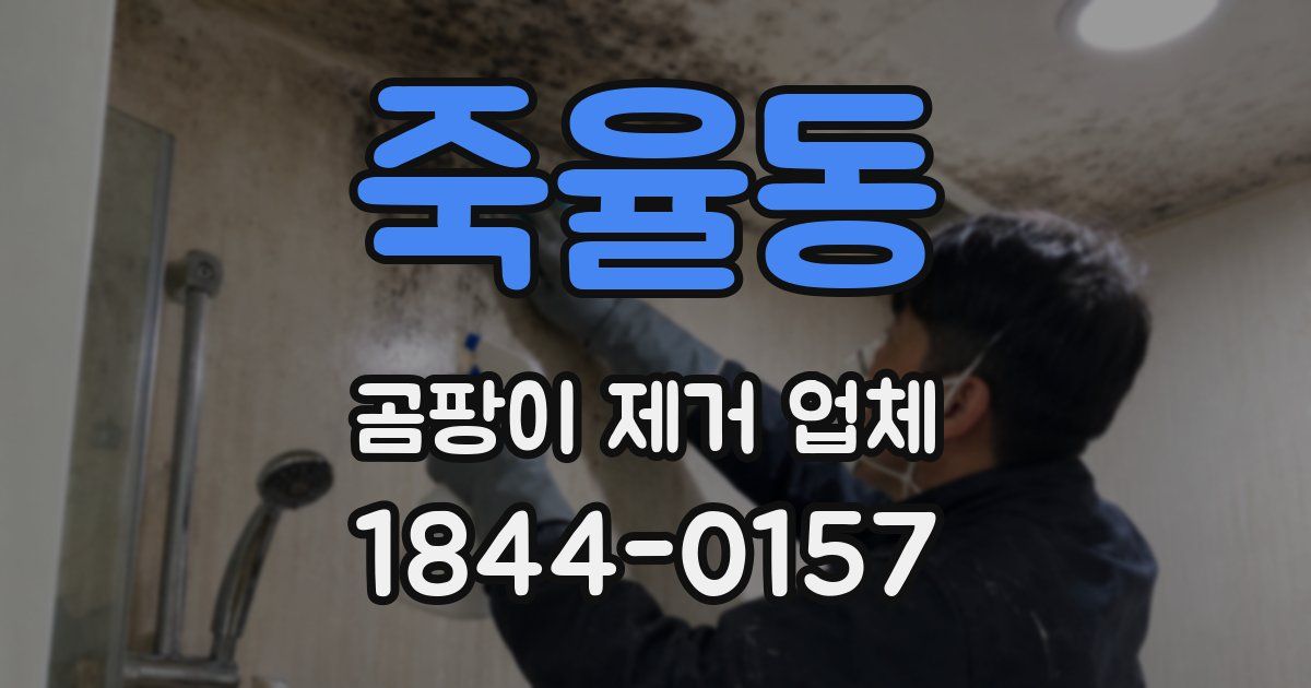 죽율동 곰팡이 제거 업체