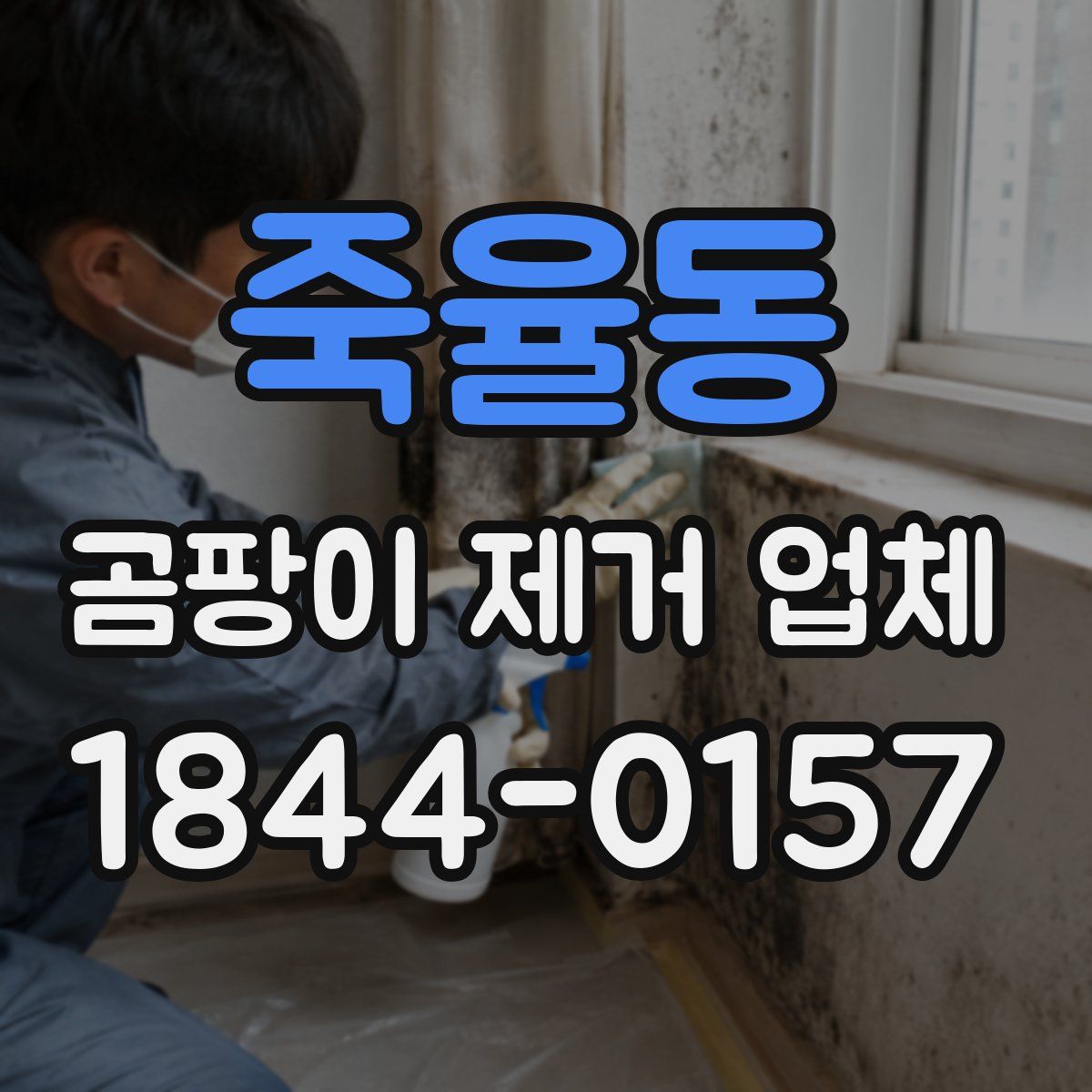 죽율동 곰팡이 제거 업체