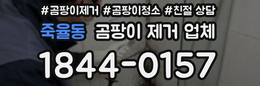 죽율동 곰팡이 제거 업체