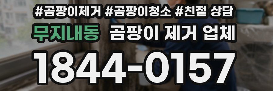 무지내동 곰팡이 제거 업체