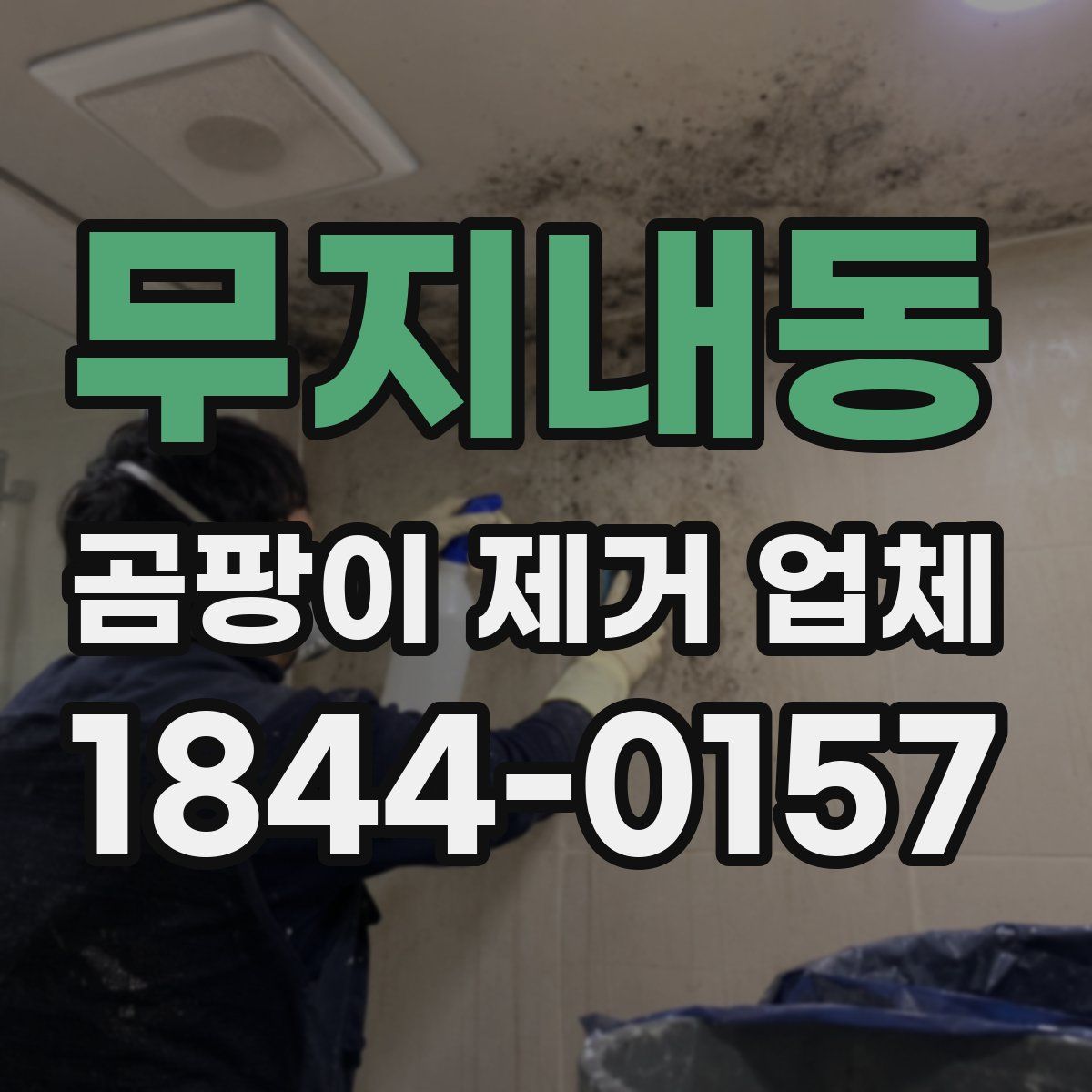 무지내동 곰팡이 제거 업체