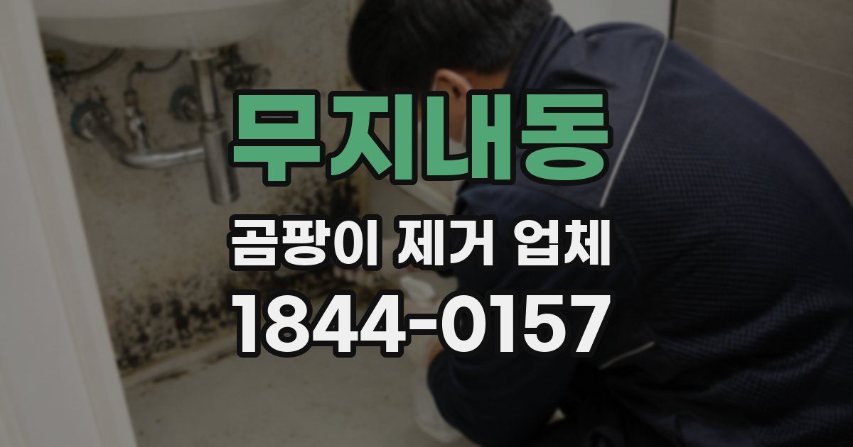 무지내동 곰팡이 제거 업체