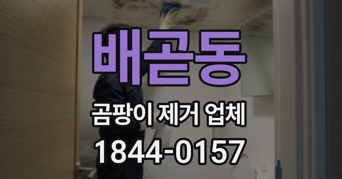 배곧동 곰팡이 제거 업체