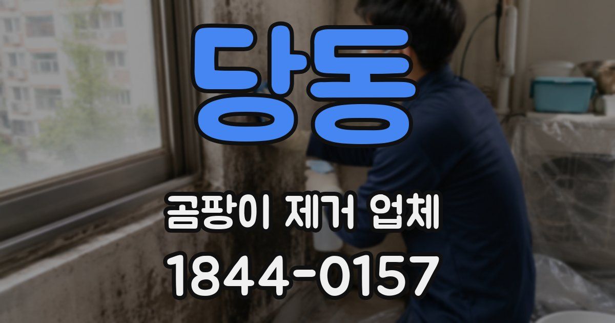 당동 곰팡이 제거 업체