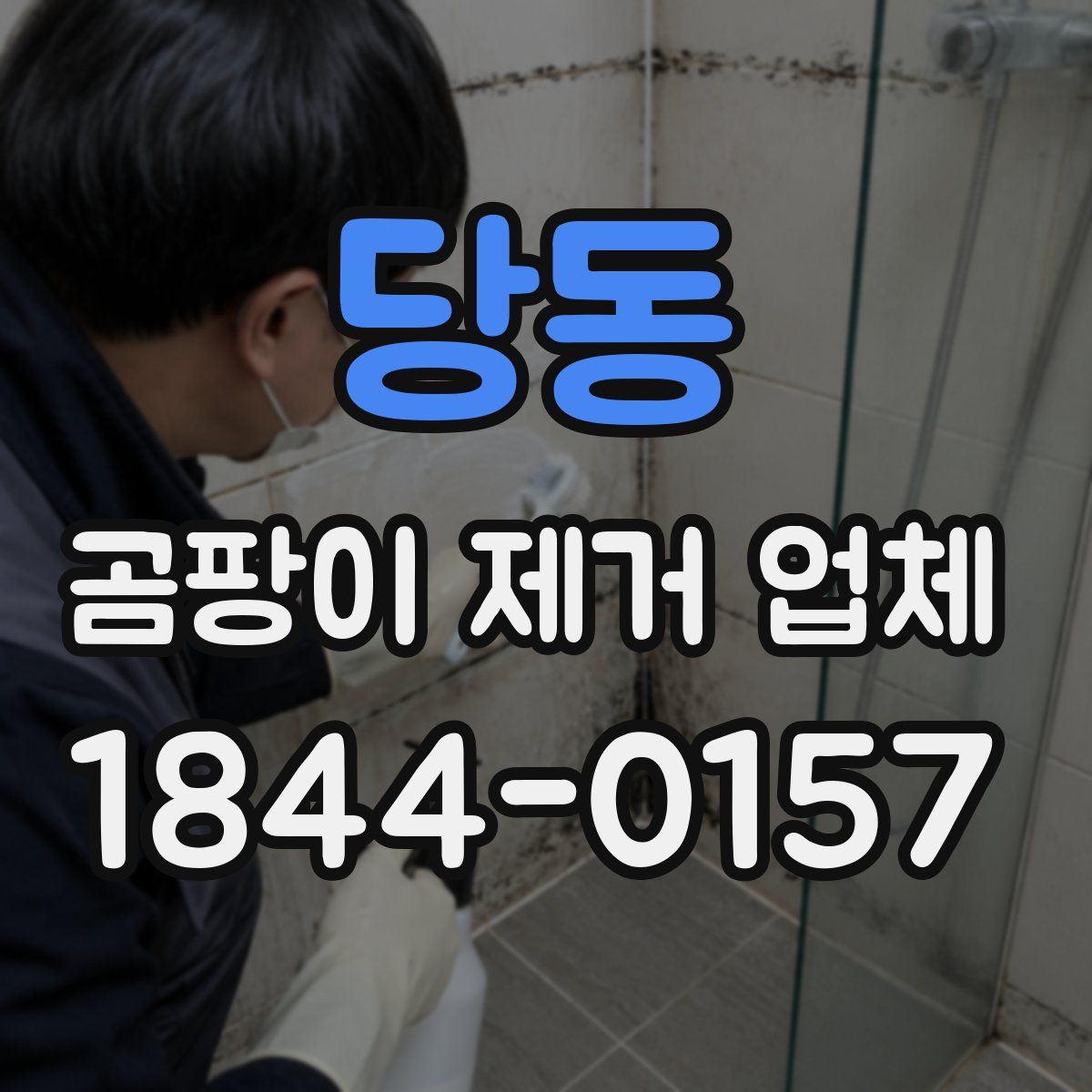 당동 곰팡이 제거 업체