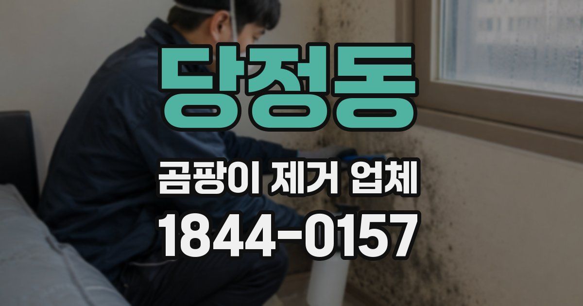 당정동 곰팡이 제거 업체