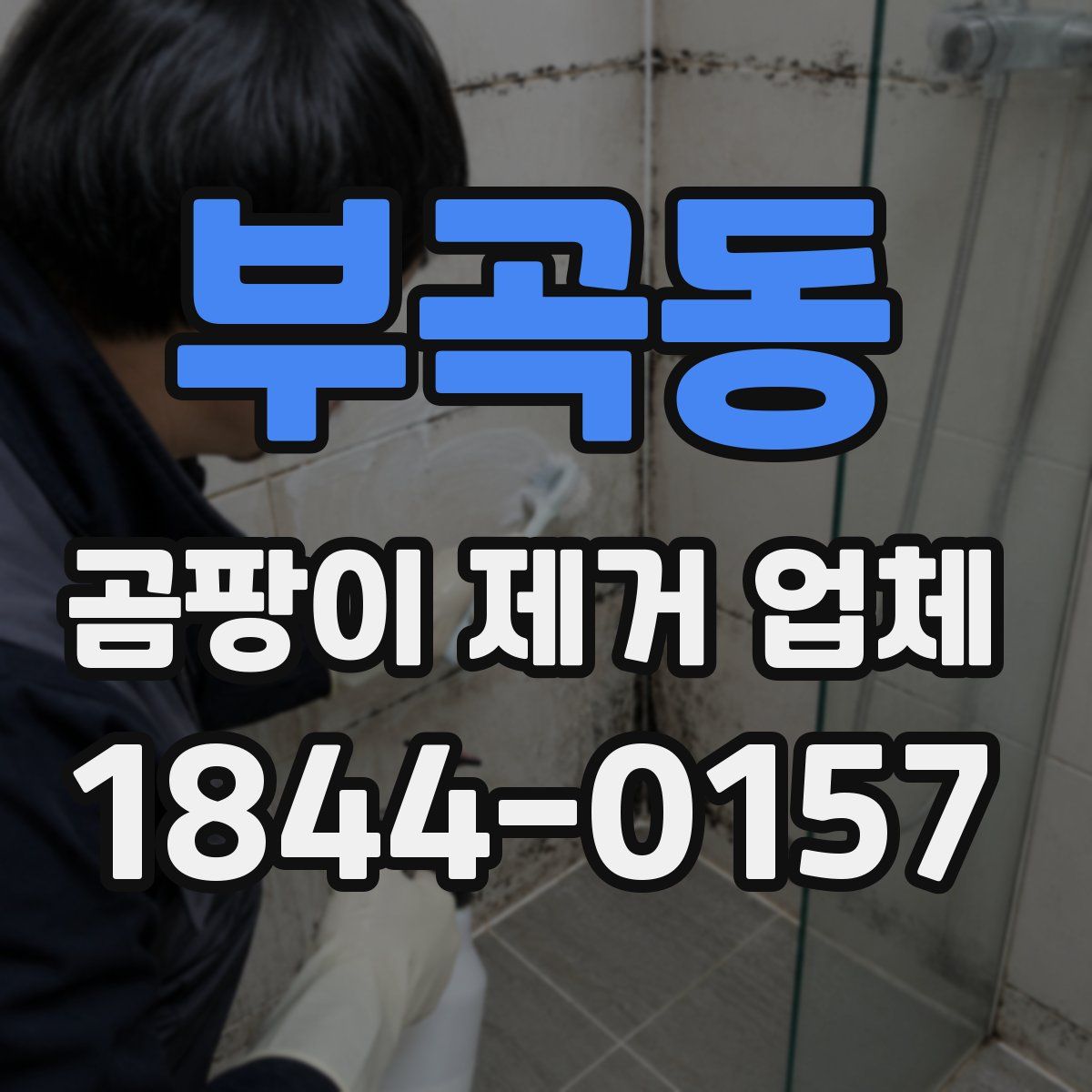 부곡동 곰팡이 제거 업체