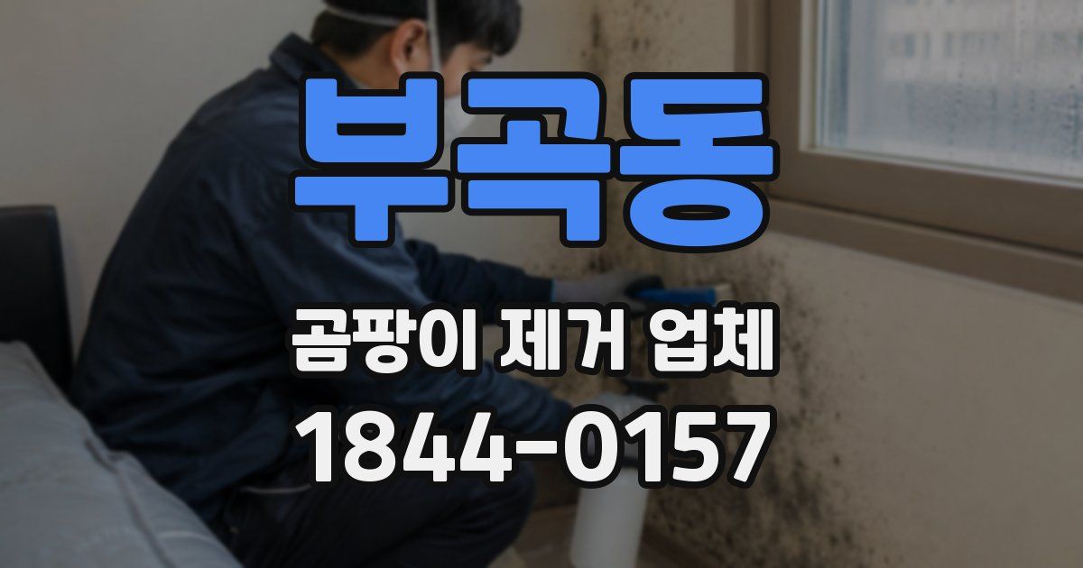 부곡동 곰팡이 제거 업체