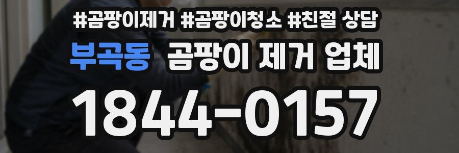 부곡동 곰팡이 제거 업체