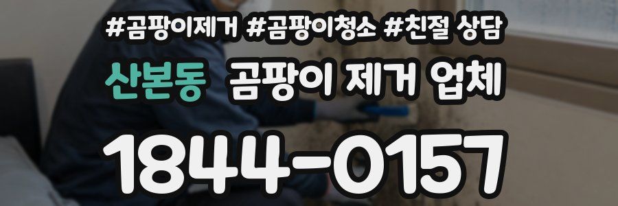 산본동 곰팡이 제거 업체